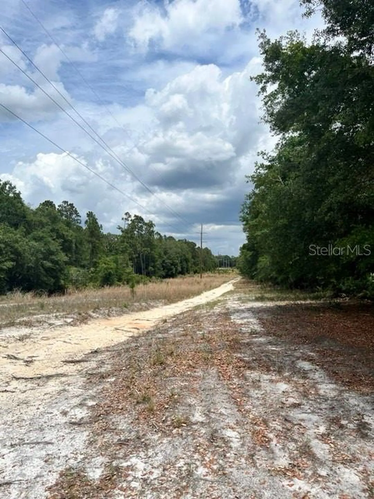 Tbd 170th SE Avenue Road Ocklawaha FL 32179