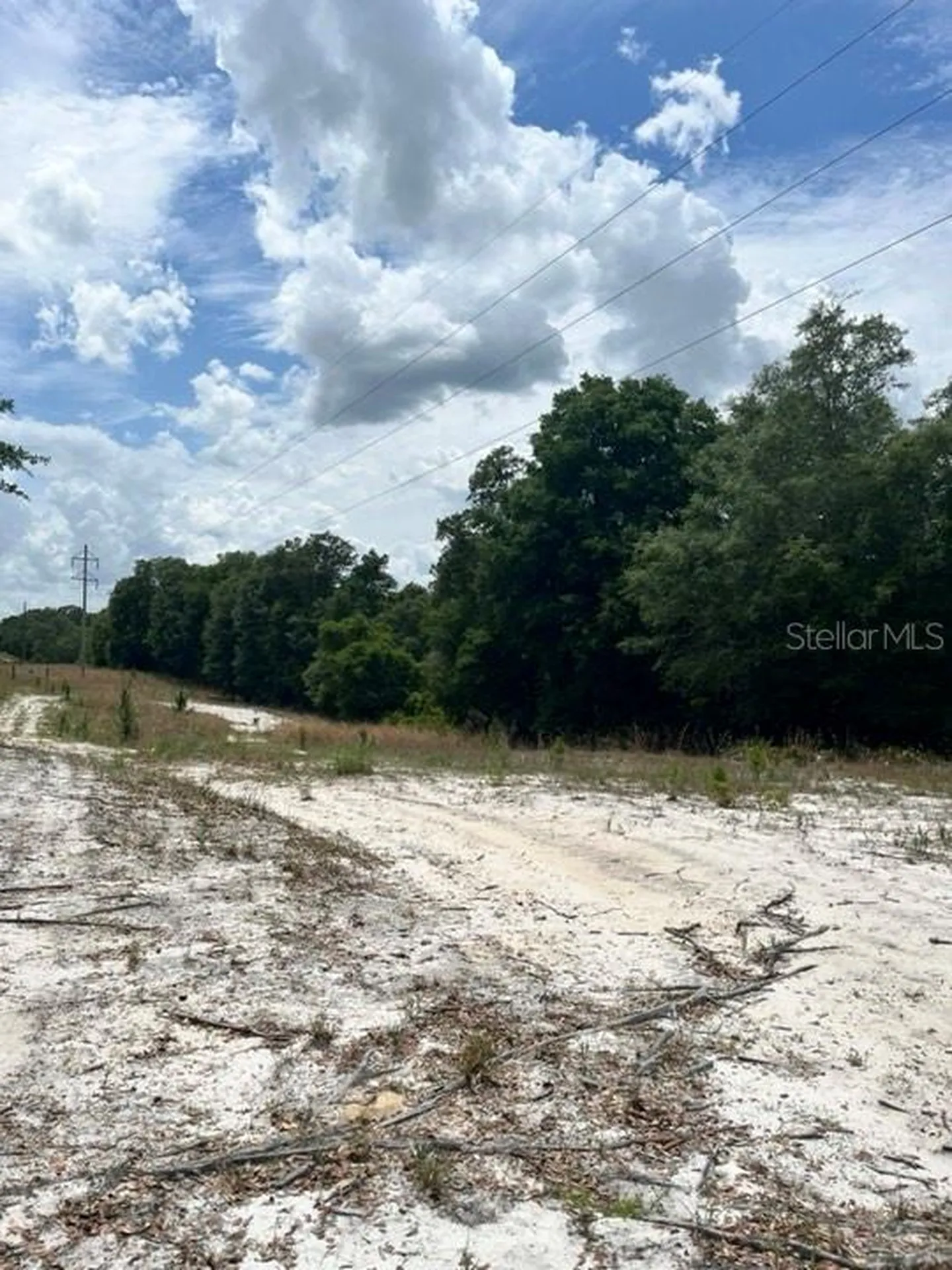 Tbd 170th SE Avenue Road Ocklawaha FL 32179