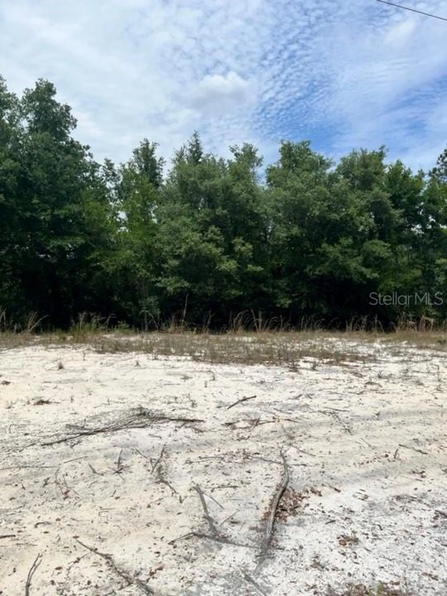 Tbd 170th SE Avenue Road Ocklawaha FL 32179