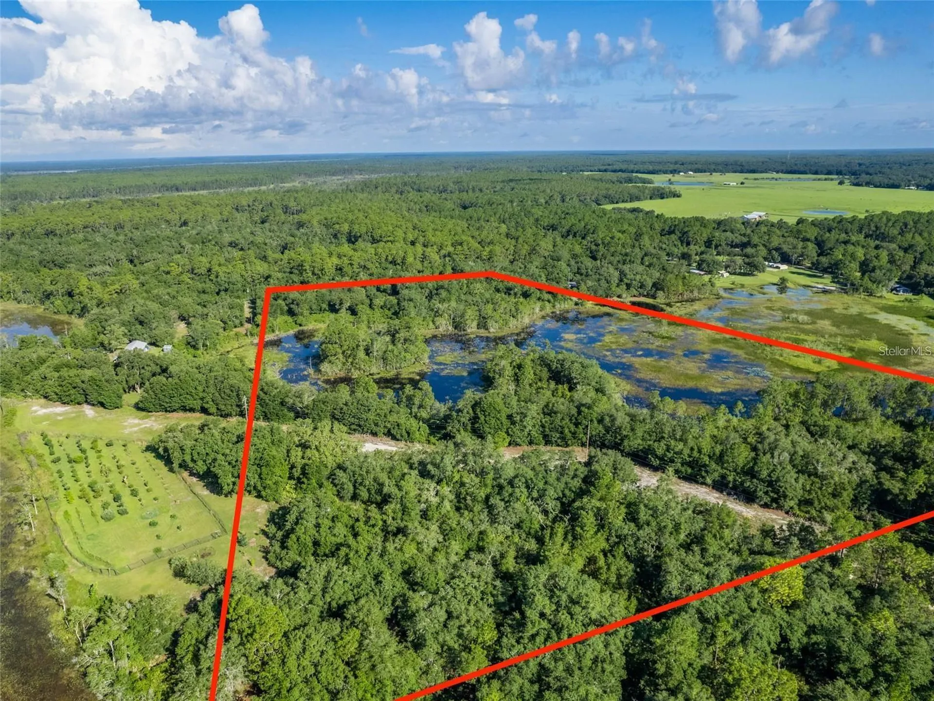 Tbd 170th SE Avenue Road Ocklawaha FL 32179