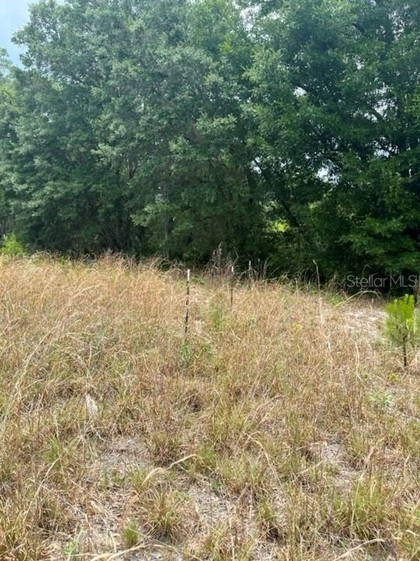 Tbd 170th SE Avenue Road Ocklawaha FL 32179