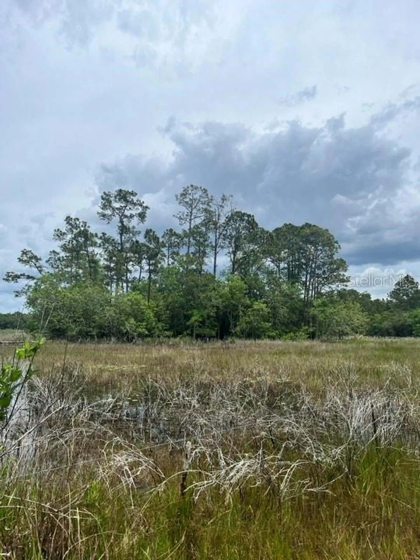 Tbd 170th SE Avenue Road Ocklawaha FL 32179