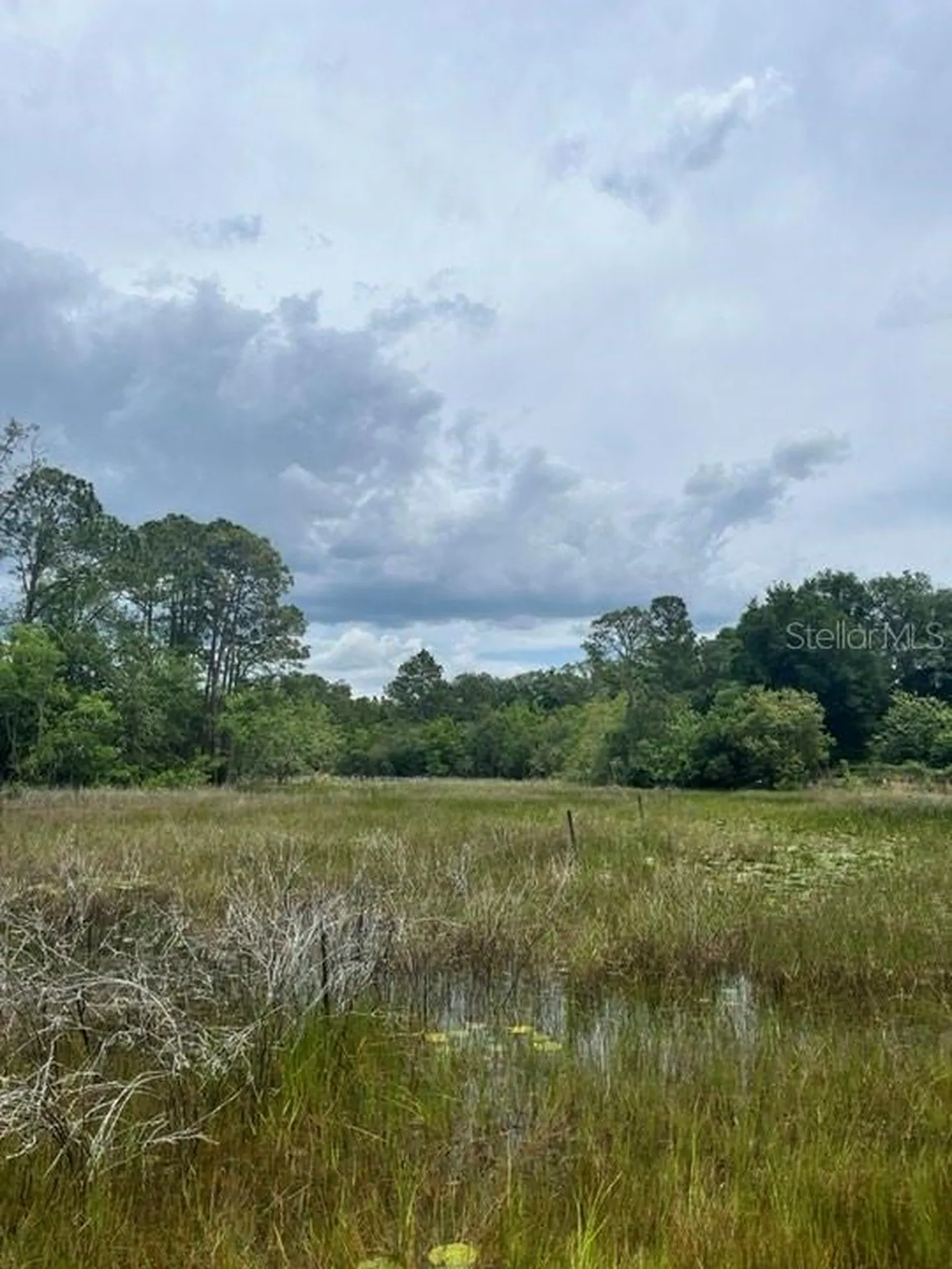 Tbd 170th SE Avenue Road Ocklawaha FL 32179