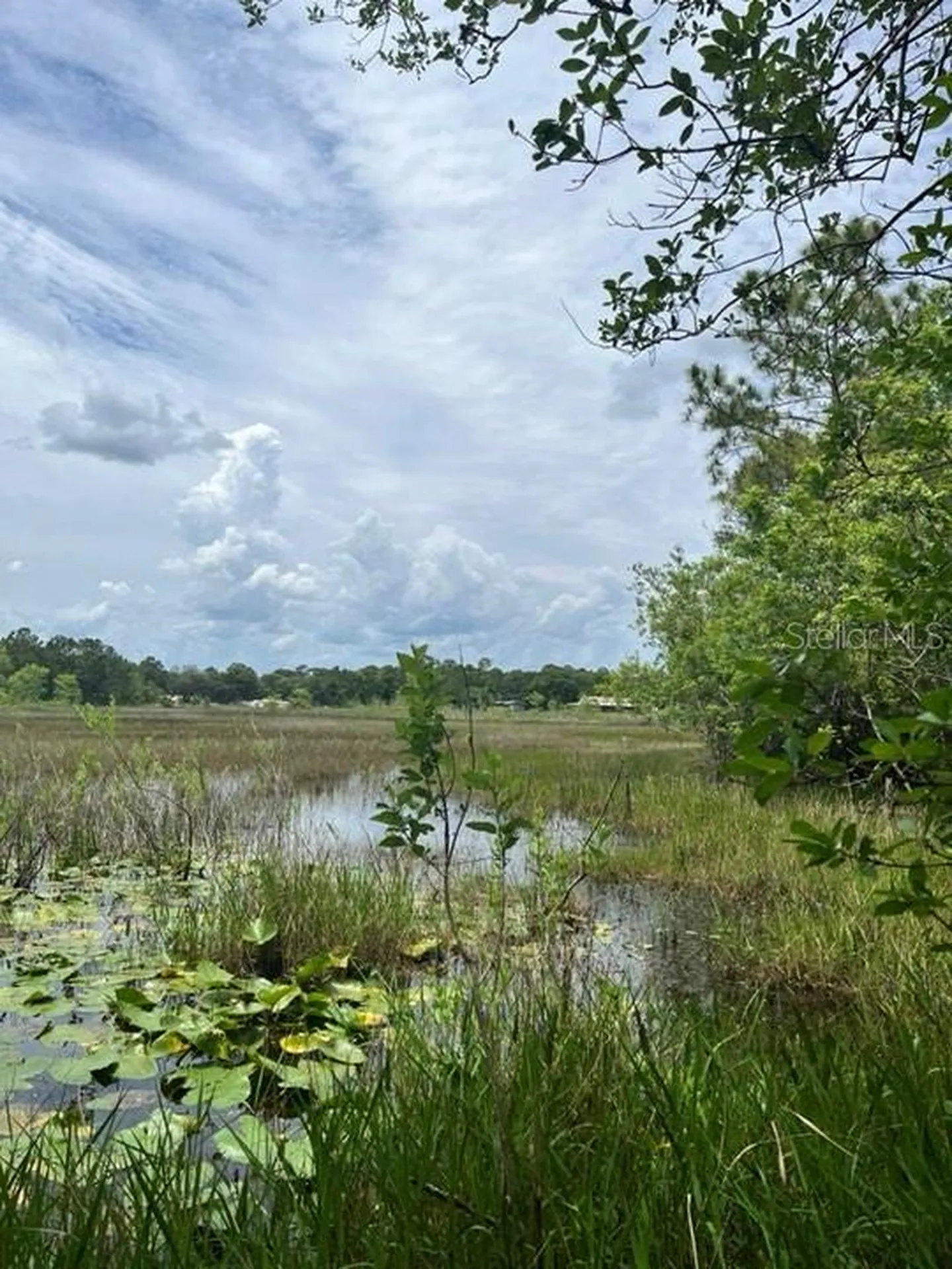 Tbd 170th SE Avenue Road Ocklawaha FL 32179