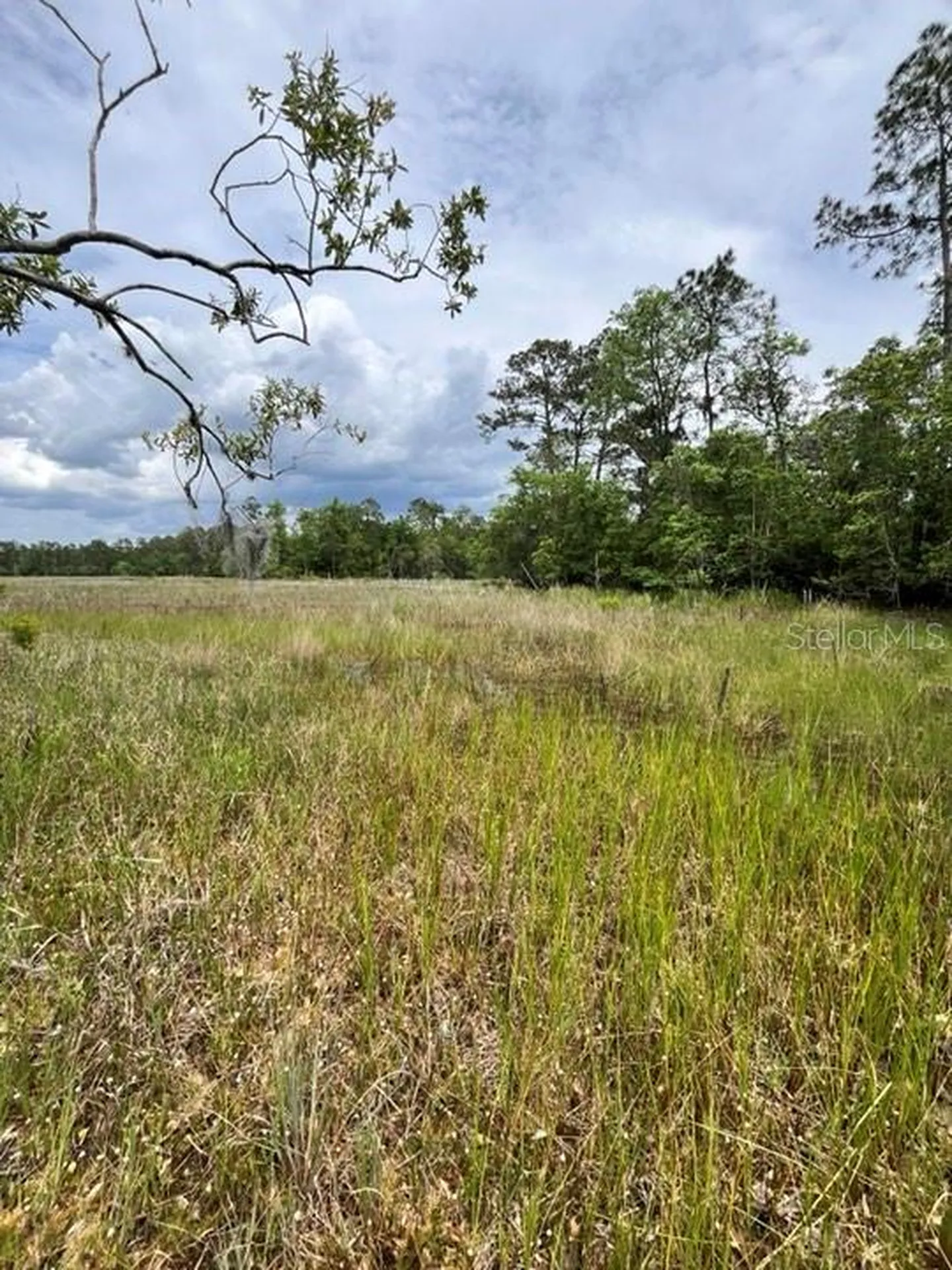 Tbd 170th SE Avenue Road Ocklawaha FL 32179