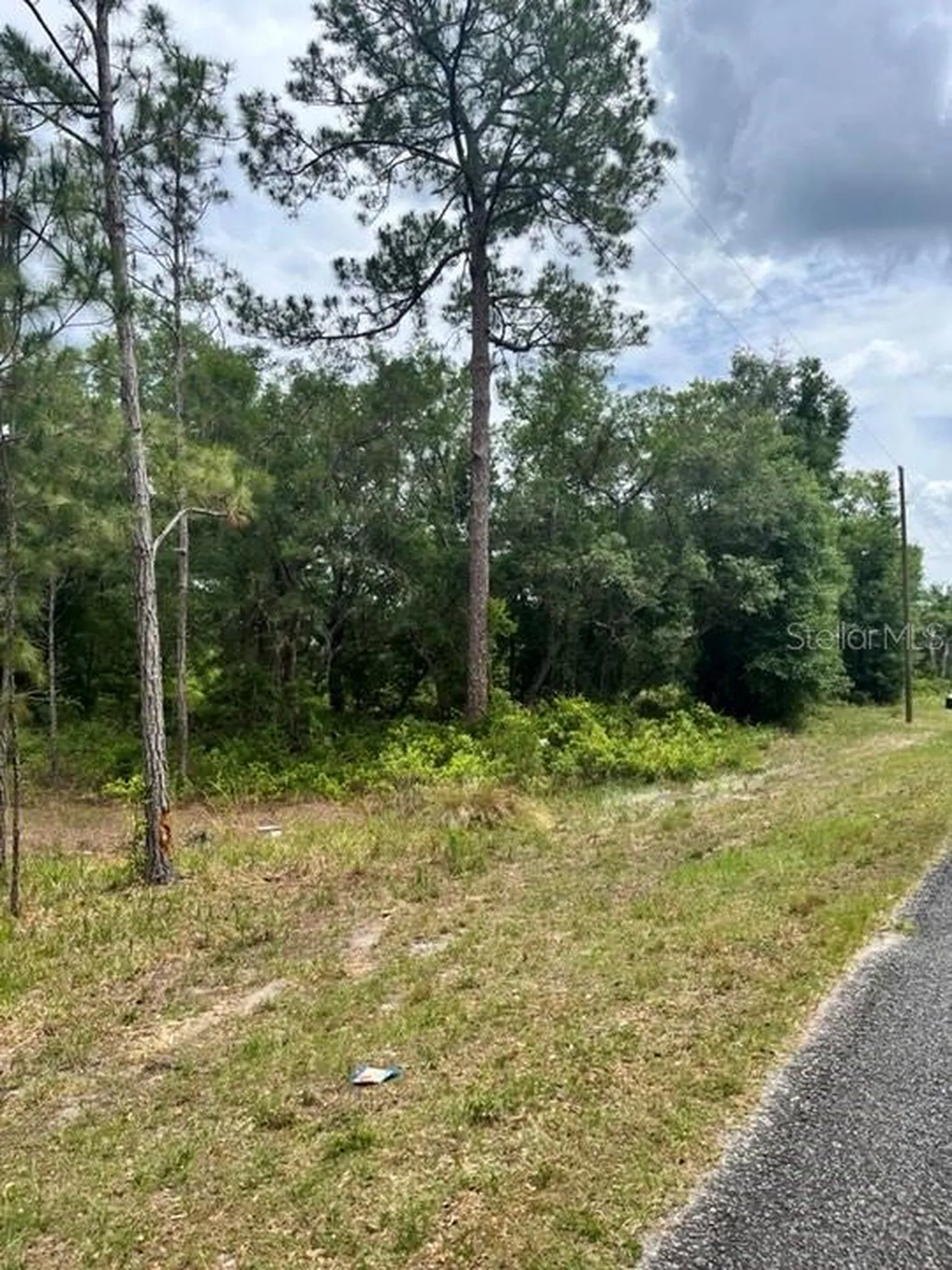 Tbd 170th SE Avenue Road Ocklawaha FL 32179