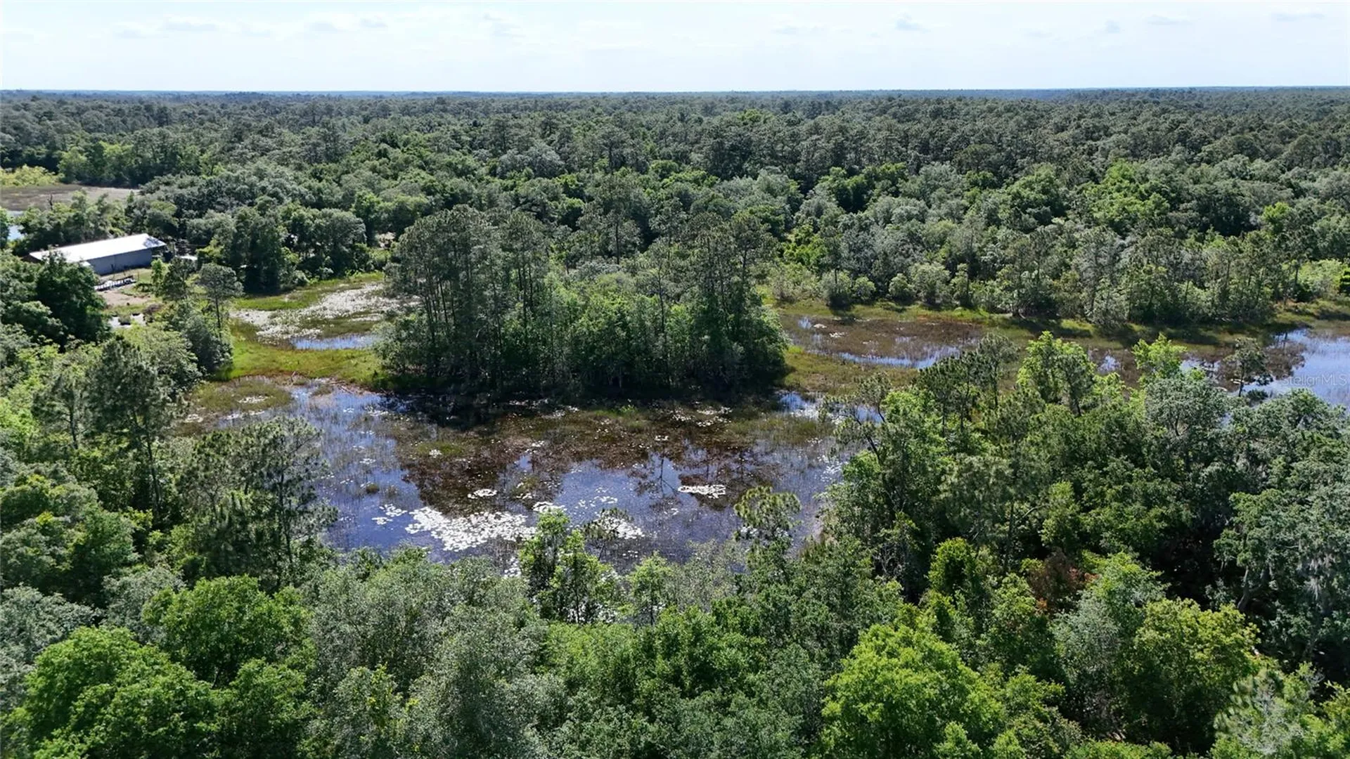 Tbd 170th SE Avenue Road Ocklawaha FL 32179