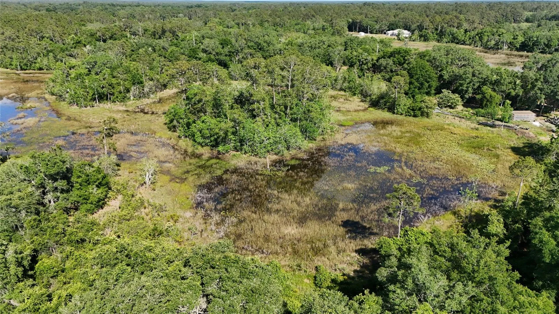 Tbd 170th SE Avenue Road Ocklawaha FL 32179
