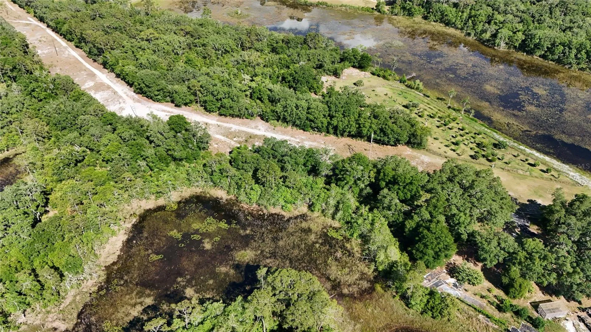 Tbd 170th SE Avenue Road Ocklawaha FL 32179