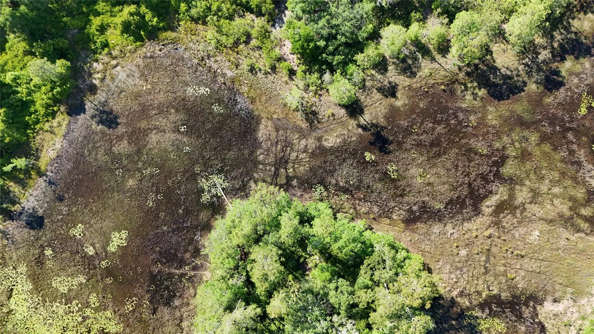 Tbd 170th SE Avenue Road Ocklawaha FL 32179