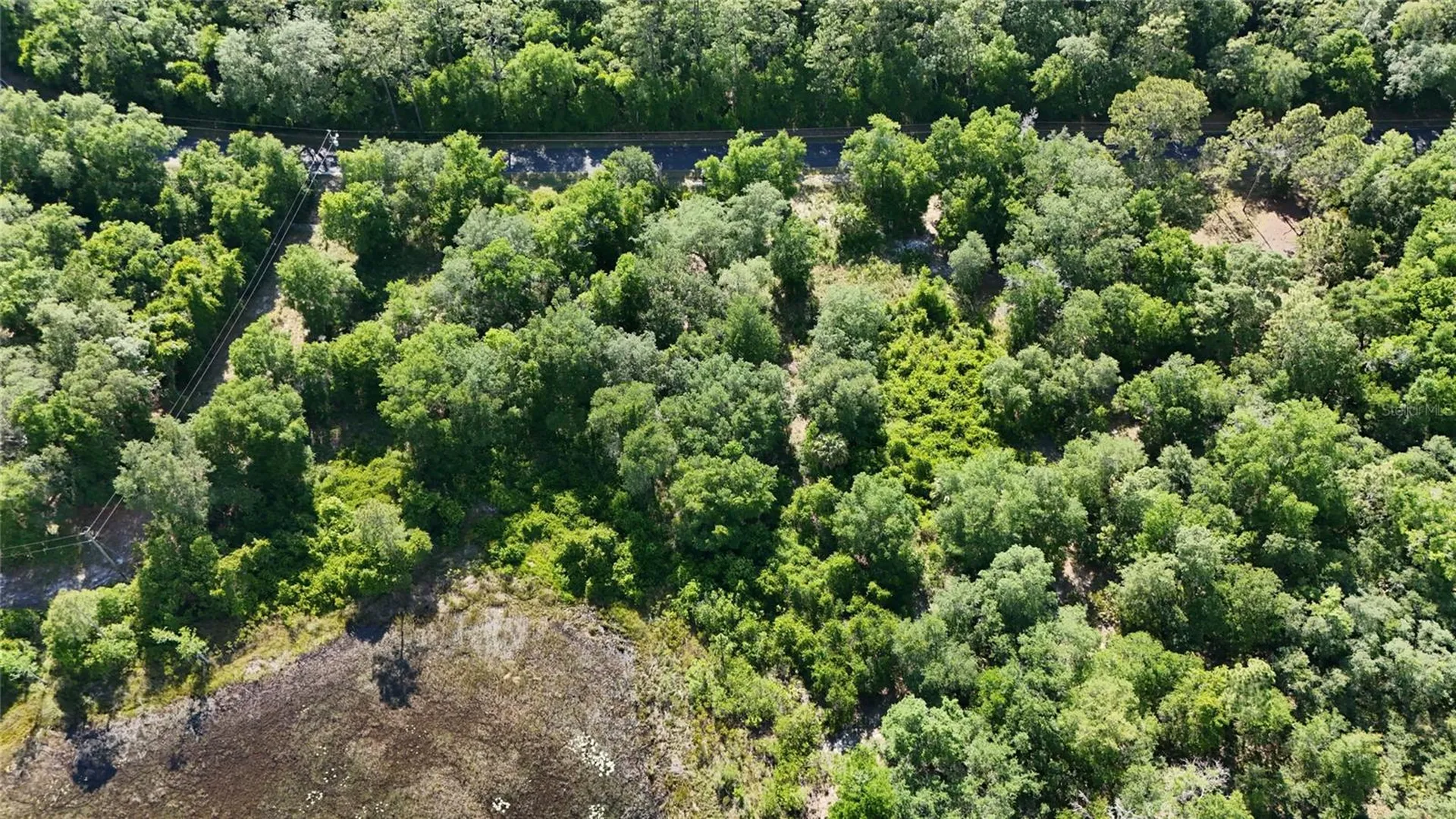 Tbd 170th SE Avenue Road Ocklawaha FL 32179
