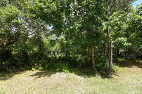 477 Evening Sky Drive Oviedo FL 32765