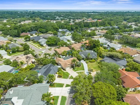 1001 Chatham Court Safety Harbor FL 34695