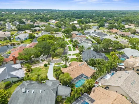 1001 Chatham Court Safety Harbor FL 34695