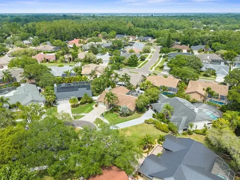 1001 Chatham Court Safety Harbor FL 34695