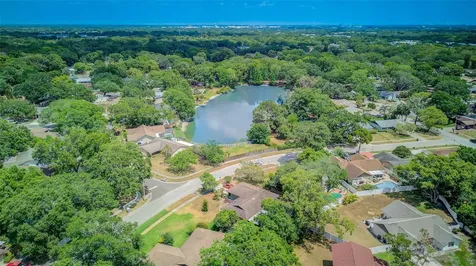 802 Justice Drive Tampa FL 33613