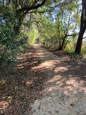 26938 Honeymoon Avenue Leesburg FL 34748