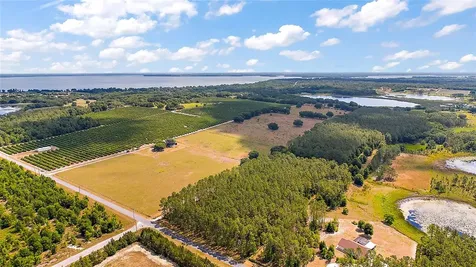 7351 Number Two Road Howey In The Hills FL 34737