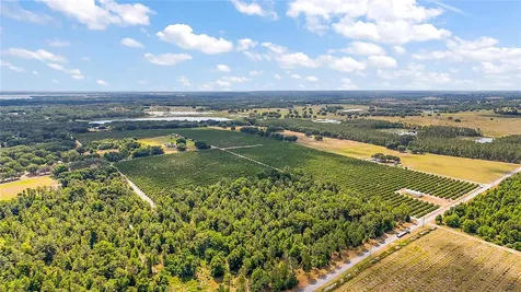 7351 Number Two Road Howey In The Hills FL 34737