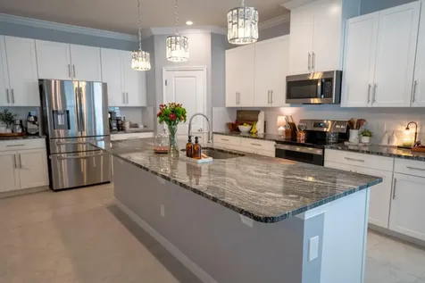 3041 Hill Point Street Minneola FL 34715