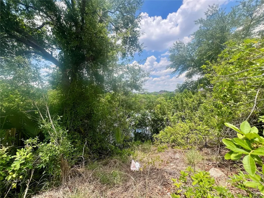 1623 NW 26th Street Cape Coral FL 33993