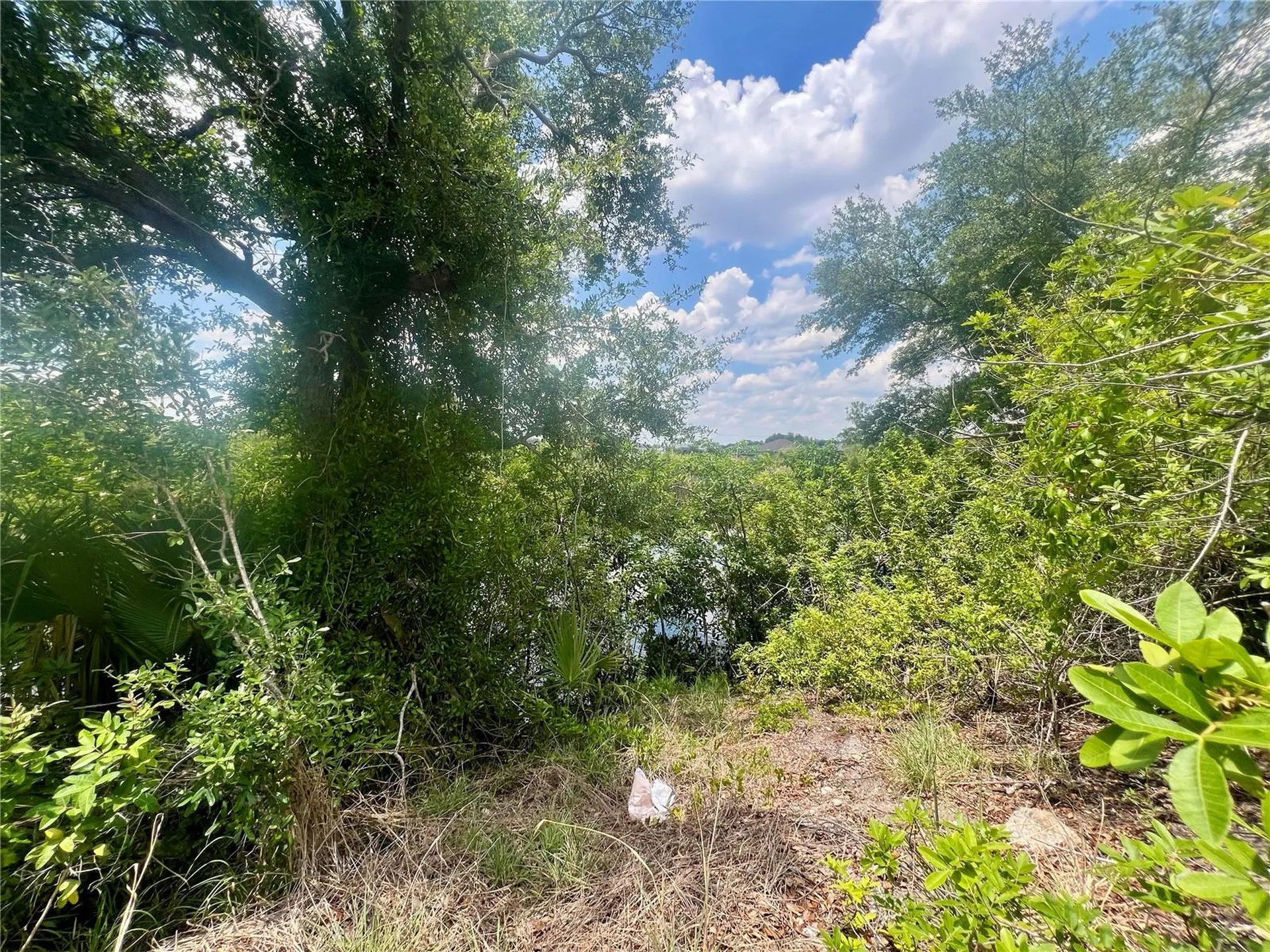 1623 NW 26th Street Cape Coral FL 33993