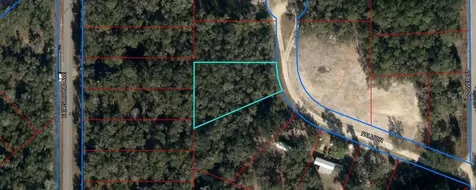 145 Palm Drive Bronson FL 32621