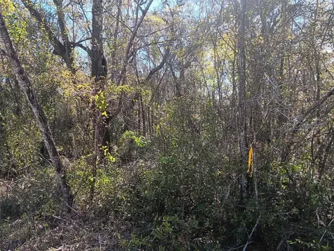 145 Palm Drive Bronson FL 32621