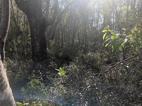 145 Palm Drive Bronson FL 32621