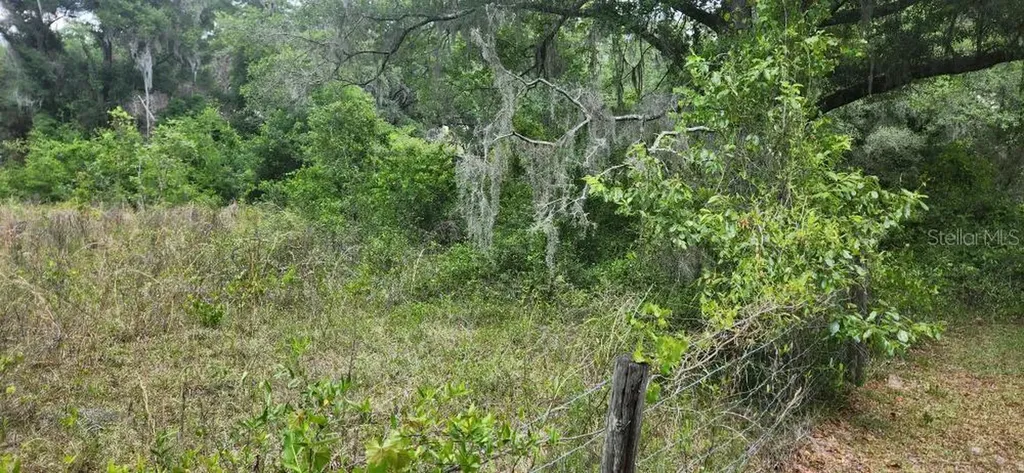Wpa Road Brooksville FL 34601