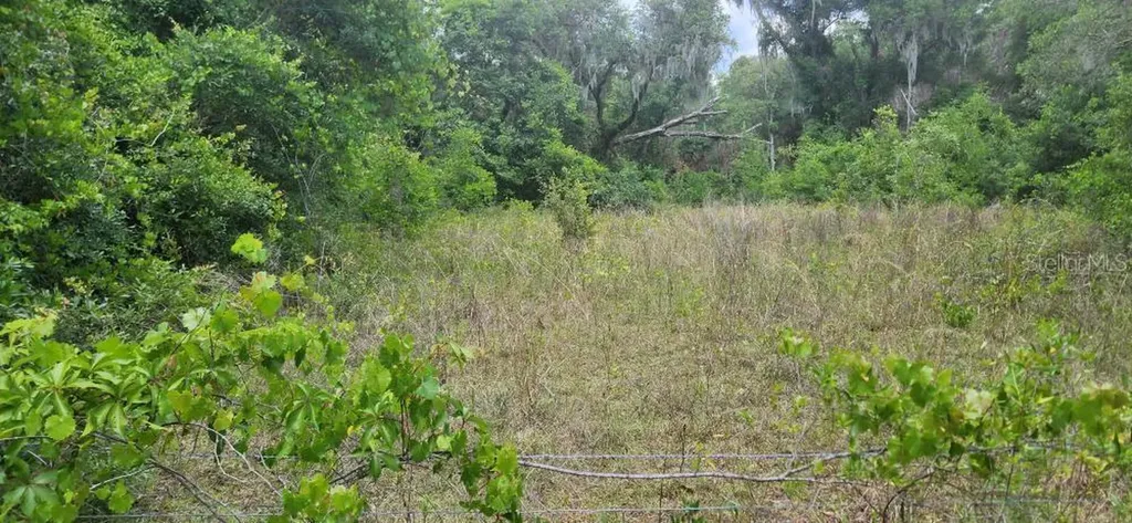 Wpa Road Brooksville FL 34601