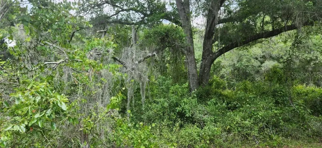 Wpa Road Brooksville FL 34601