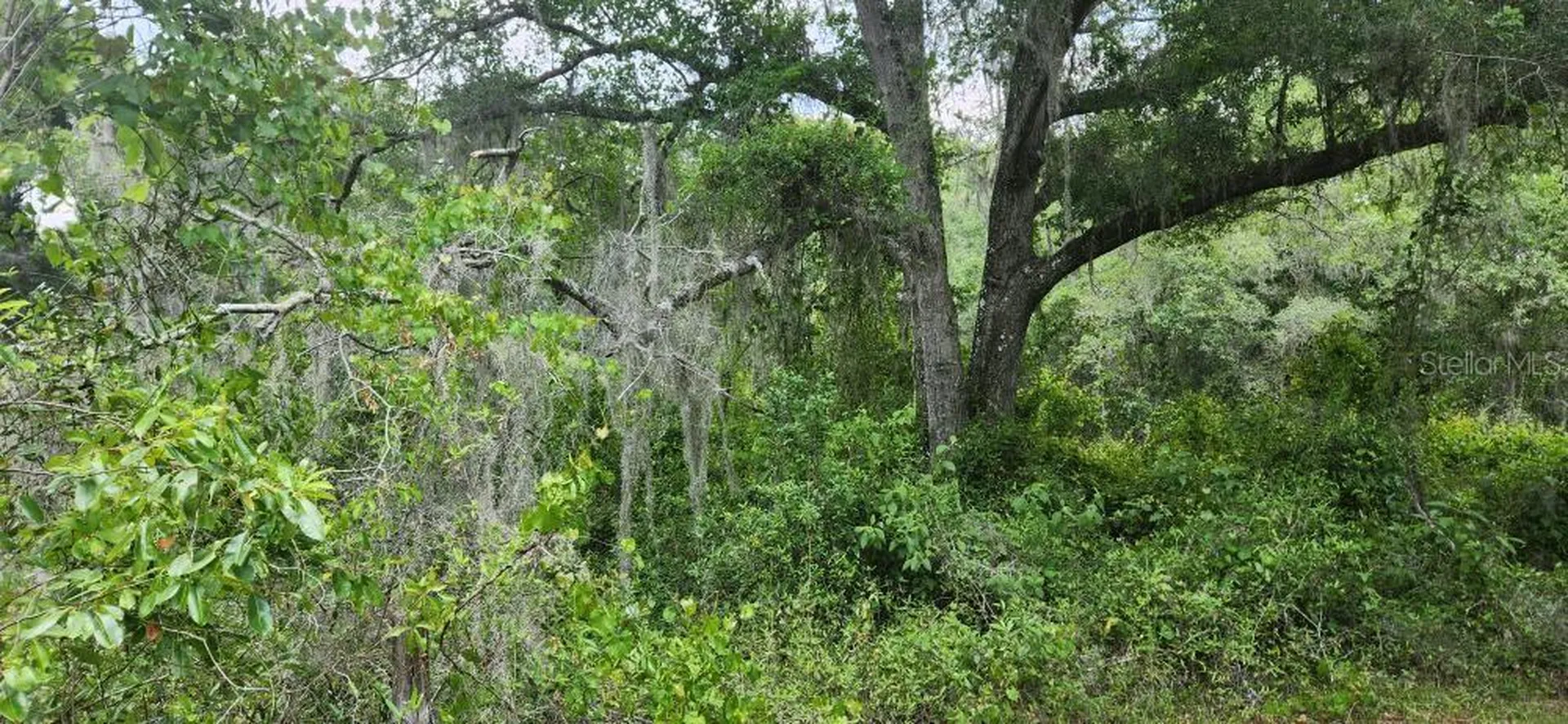 Wpa Road Brooksville FL 34601