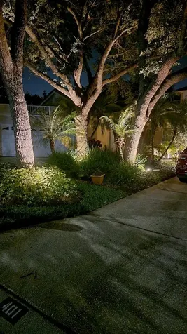 401 Fan Palm Court NE St Petersburg FL 33703