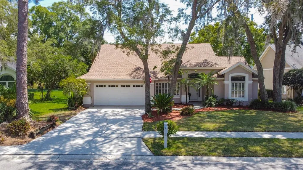 7219 Ridgeport Drive Tampa FL 33647