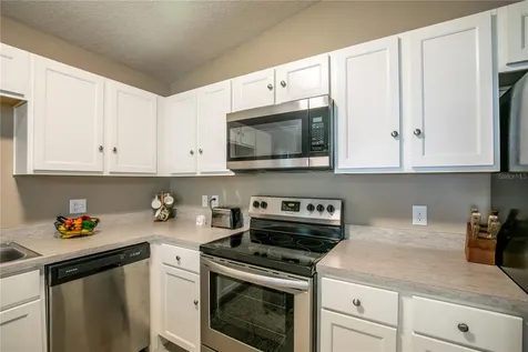 1512 Baywood Village Court Mount Dora FL 32757
