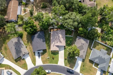 1512 Baywood Village Court Mount Dora FL 32757