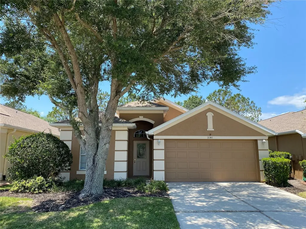 3141 Banyan Hill Lane Land O Lakes FL 34639
