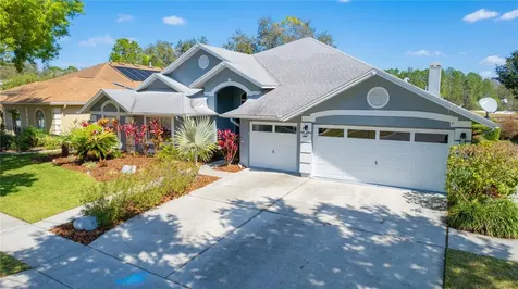 17505 Edinburgh Drive Tampa FL 33647