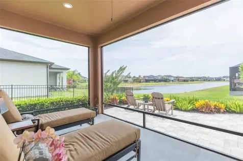 4649 Tivoli Drive Wesley Chapel FL 33543