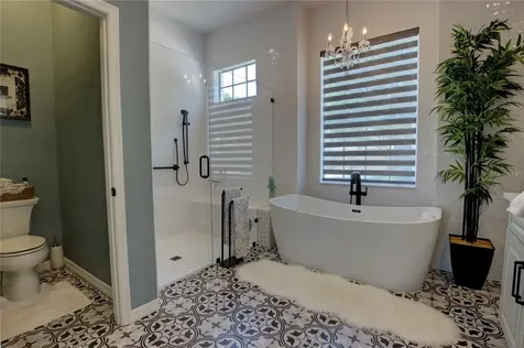 1194 Saint Albans Loop Lake Mary FL 32746