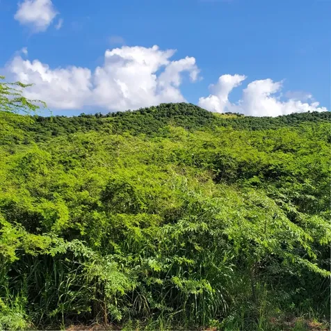 3 Barrio Flamenco Culebra PR 00775