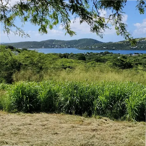 3 Barrio Flamenco Culebra PR 00775