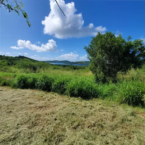 3 Barrio Flamenco Culebra PR 00775