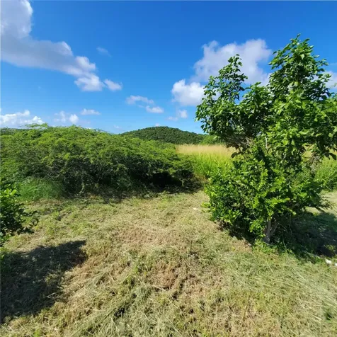 3 Barrio Flamenco Culebra PR 00775