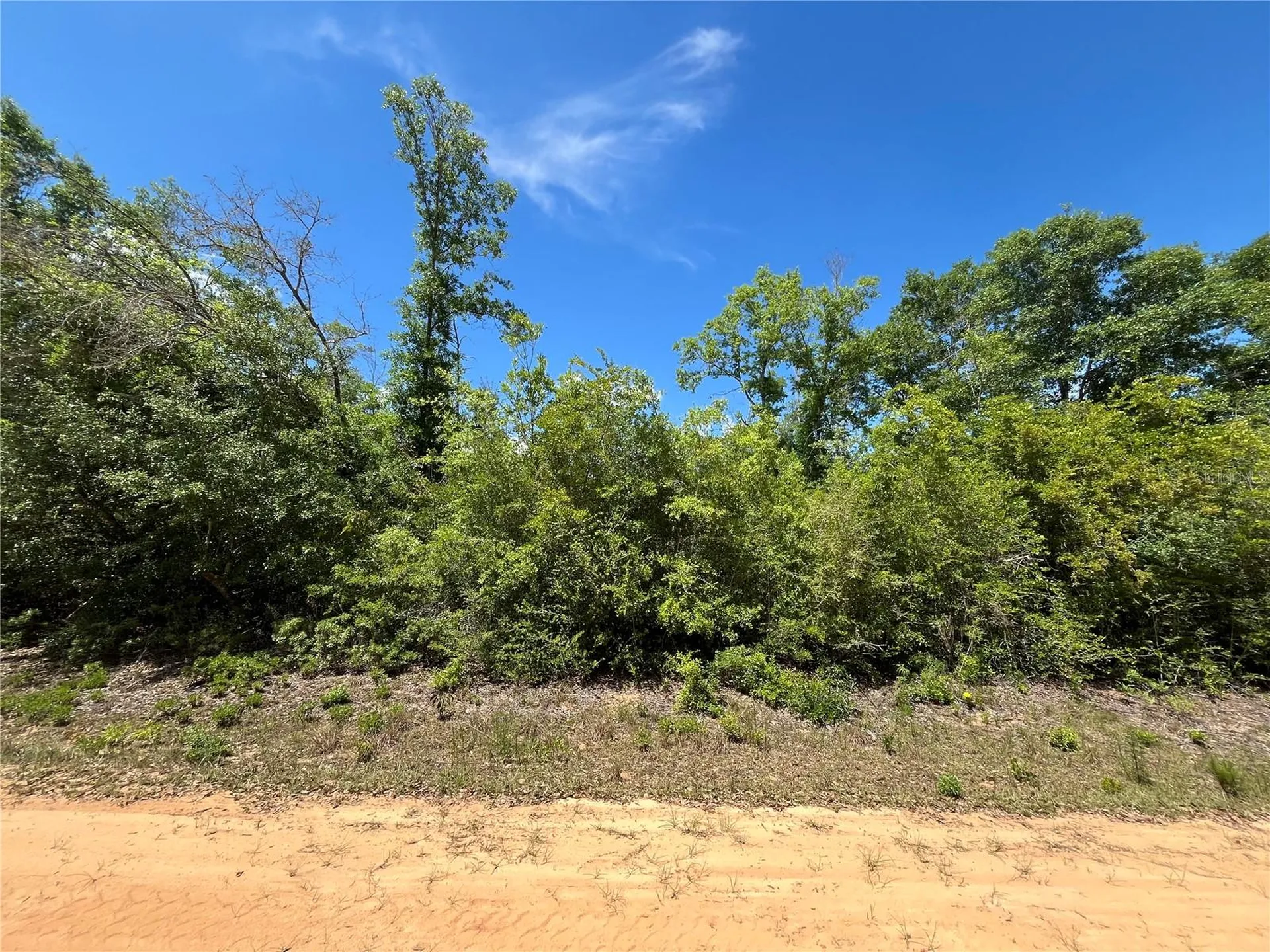 Hocking Street Alford FL 32420