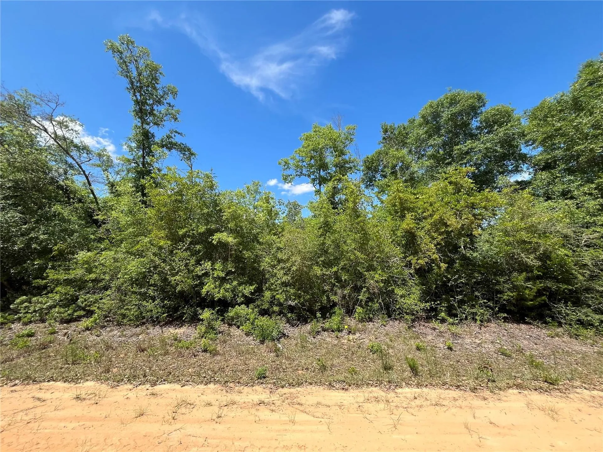 Hocking Street Alford FL 32420
