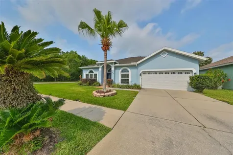 18502 Ambly Lane Tampa FL 33647