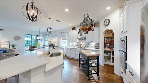 13831 Peach Orchard Way Winter Garden FL 34787