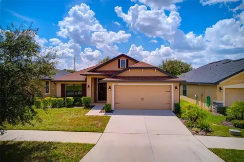12258 Legacy Bright Street Riverview FL 33578